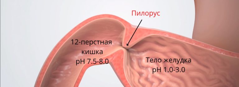 klapan zheludka ne zakryvaetsya
