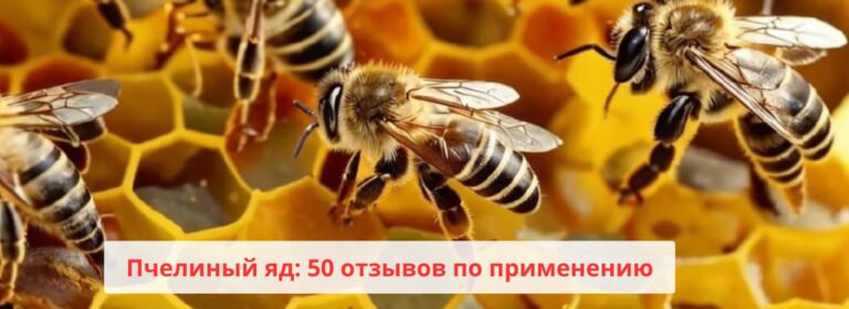 Пчелиный яд: 50 отзывов по применению 5 pchelinyj yad 50 otzyvov po primeneniyu 1